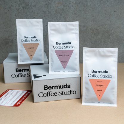 Bermuda Blend Box